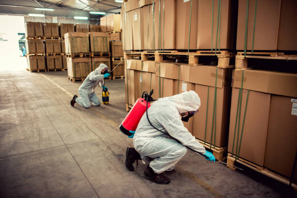 Best Rat Extermination Near Me  in Emory, TX