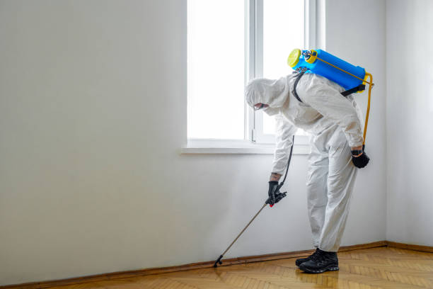 Best Best Pest Control Companies  in Emory, TX