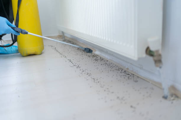 Best Pest Removal Services  in Emory, TX