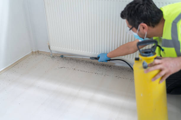 Best Affordable Pest Control Services  in Emory, TX