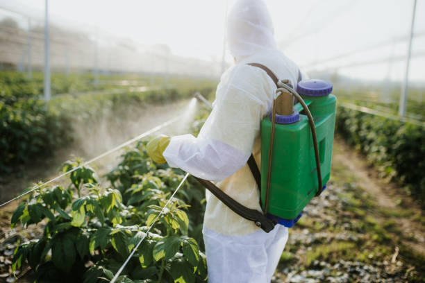 Best Pest Control Near Me  in Emory, TX